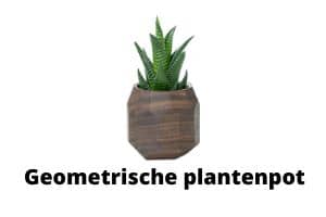 geometrische_plantenpot_Oakywood
